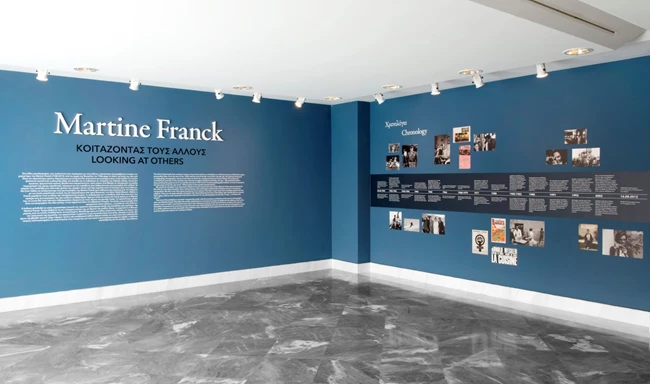 ίδρυμα βασίλη mf