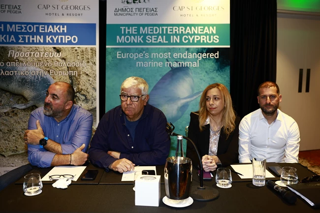 Μεσογειακή φώκια