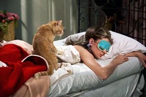 Πώς θα ενισχύσετε το ανοσοποιητικό σας σύστημα σε 24 ώρες