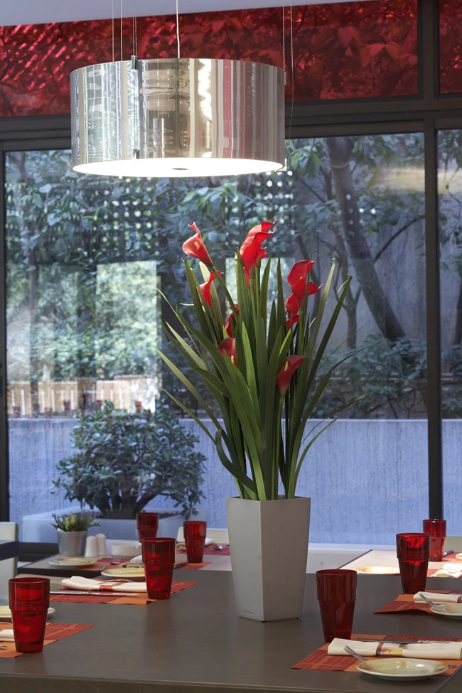 Χριστούγεννα και Πρωτοχρονιά στο Novotel Athenes | Μία γιορτή value for money πολυτέλειας