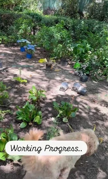 κήπος alejandra silva