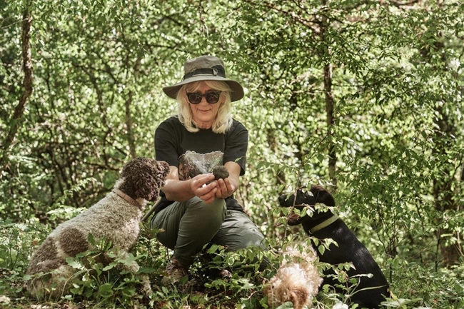 Grand Forest Metsovo