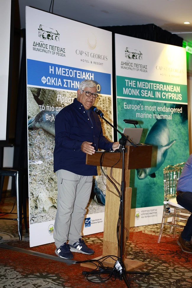 Μεσογειακή φώκια