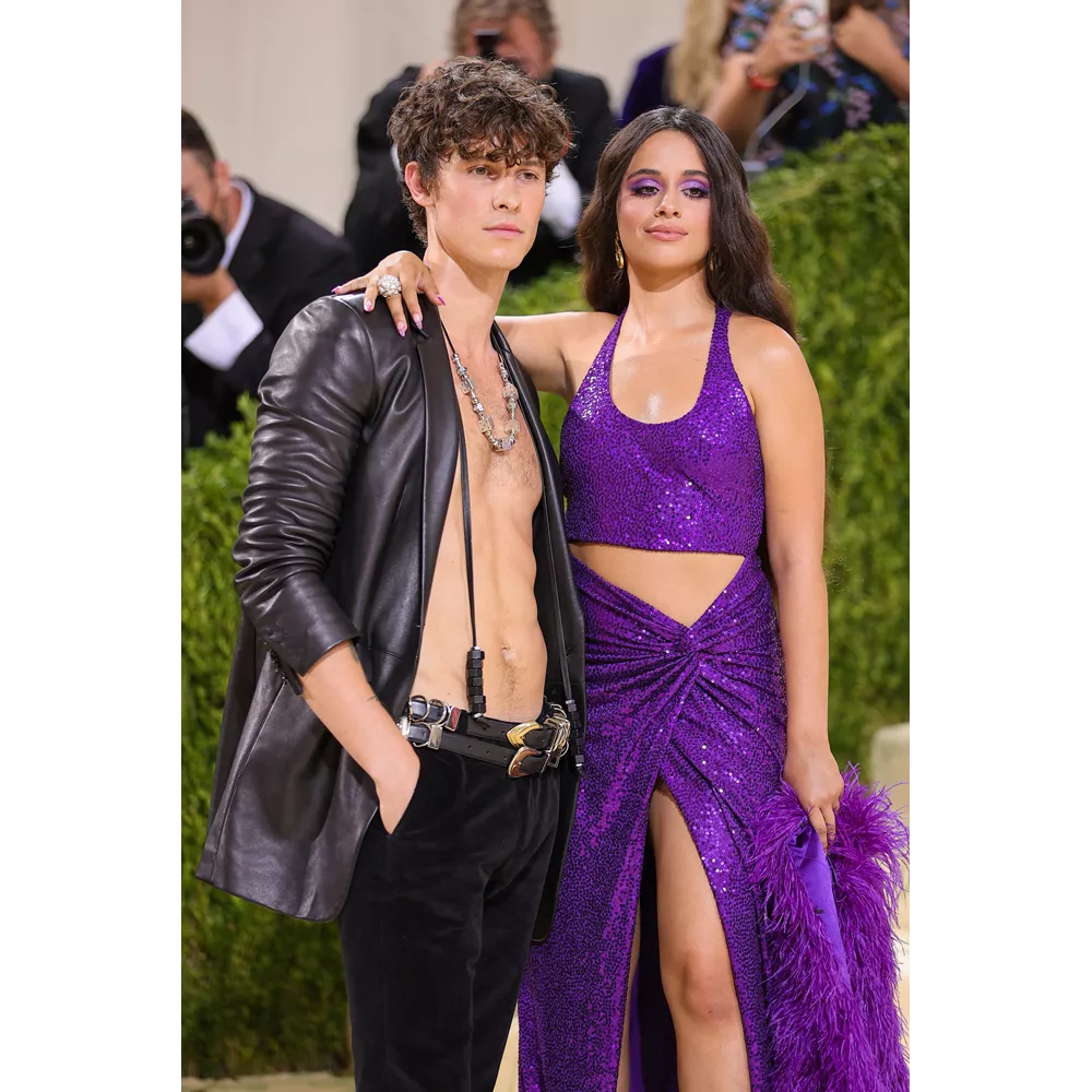 Camilia Cabello - Shawn Mendes