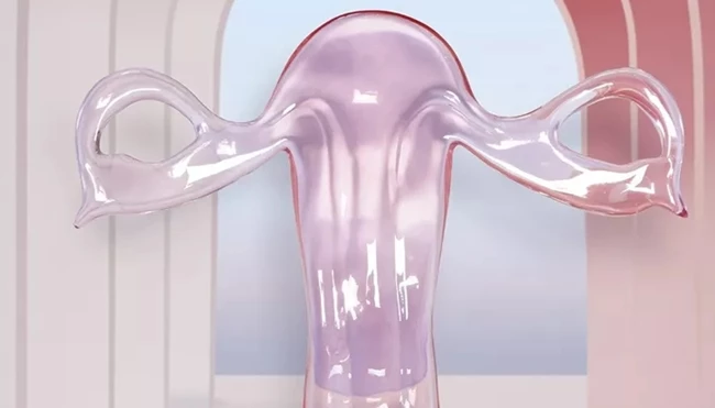 Μαγικός Καθρέφτης | Μία ομαδική έκθεση ενώνει διαφορετικές μορφές τέχνης και εμβληματικά σημεία της Ύδρας