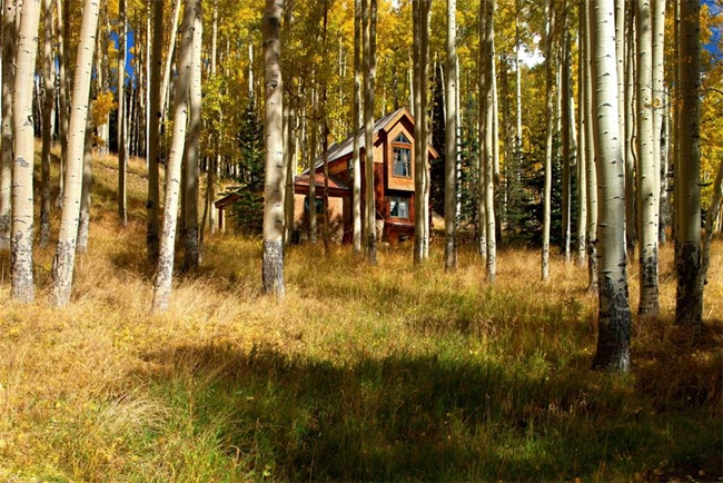 Tom Cruise σπίτι