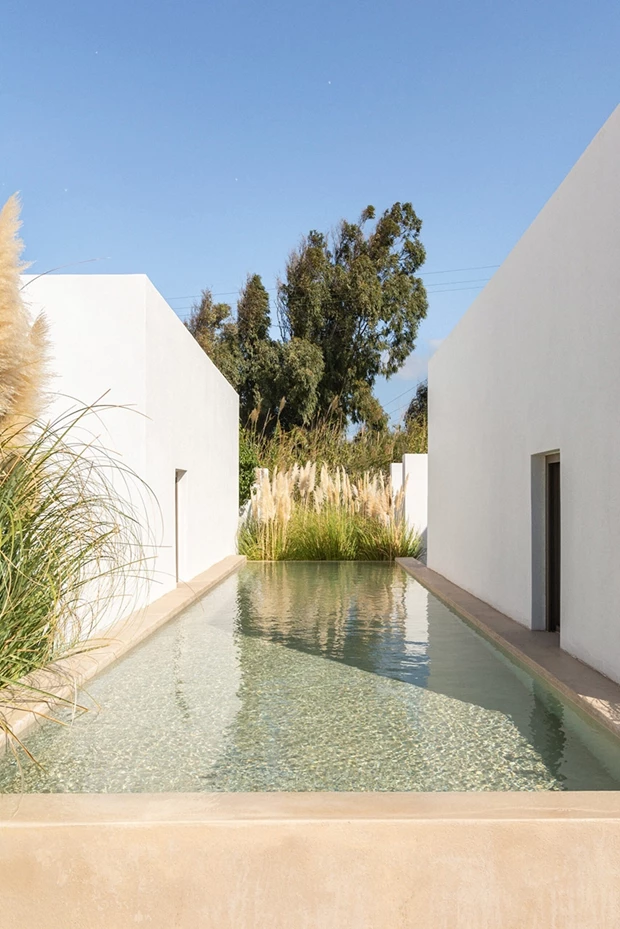 Τίνα Βασιλάκου