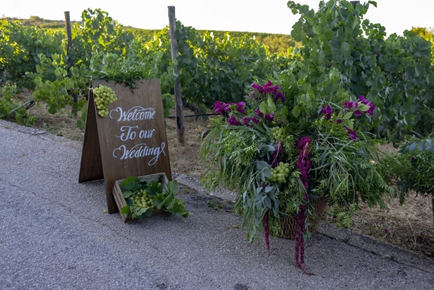 Κτήμα Κοκοτού