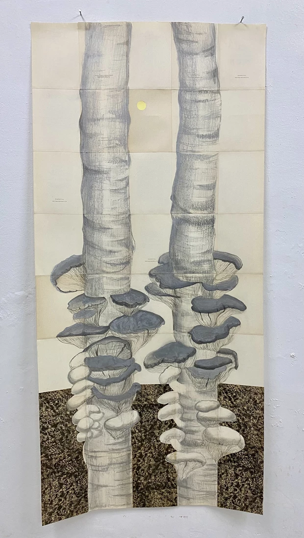 Art Club | Οι 10+1 νέες εκθέσεις της εβδομάδας