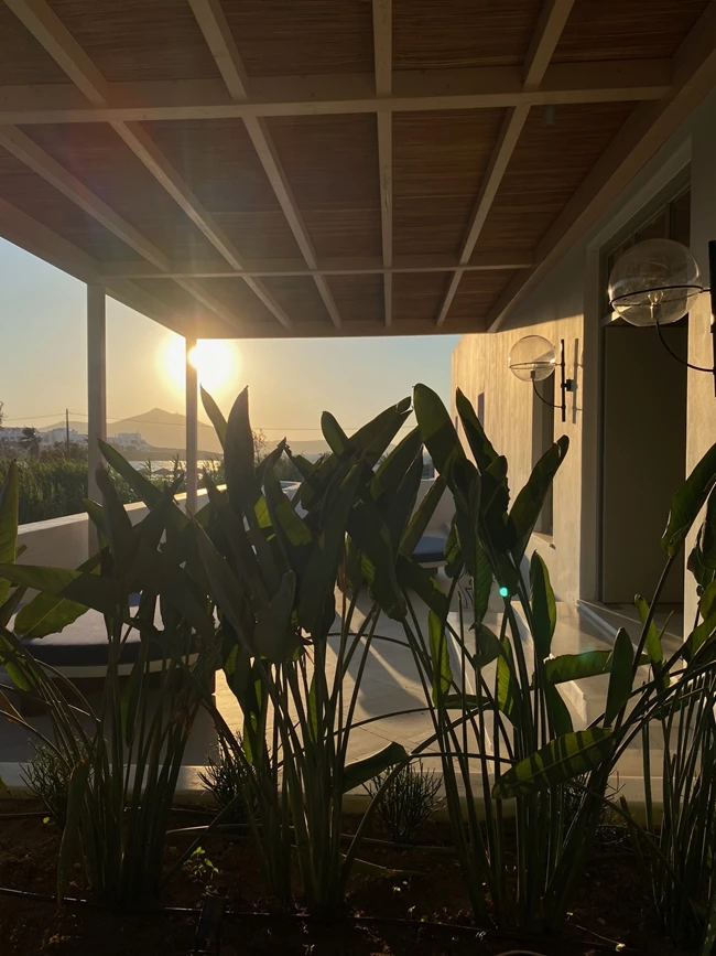 Πάρος Πατεράκη