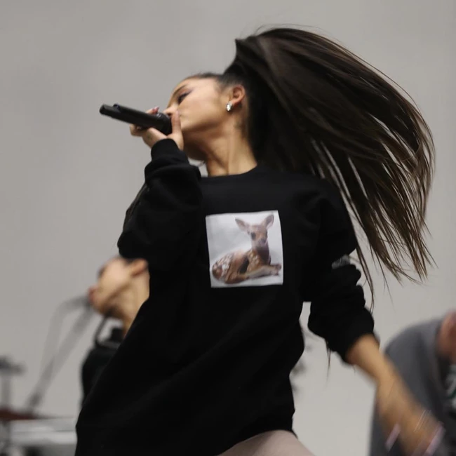 Celebrities Ariana Grande