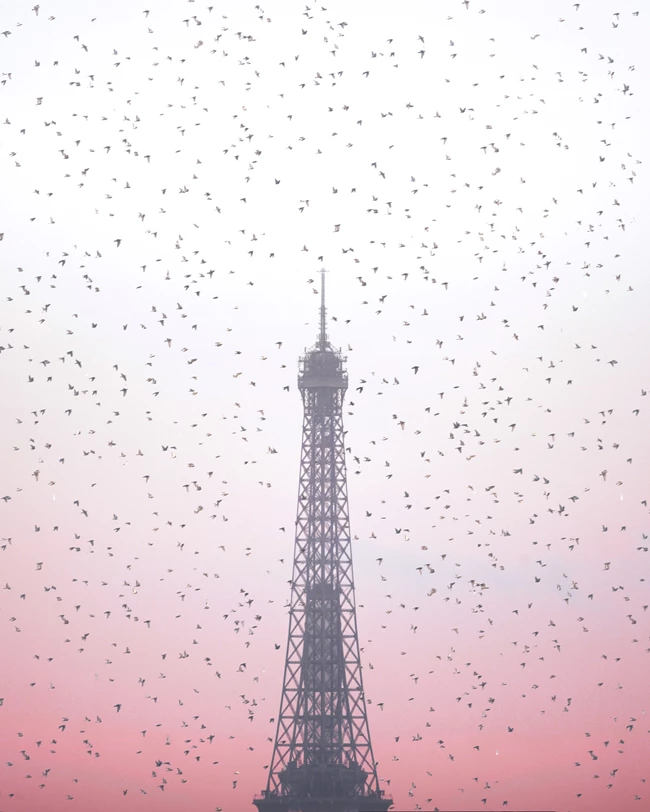 Κώστας Σπαθής