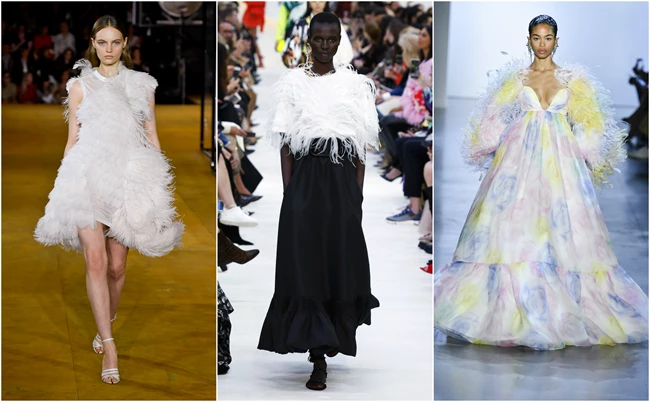 Pretty little feathers