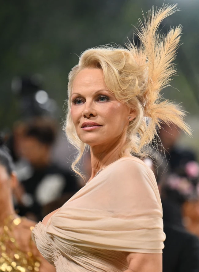 Met Gala 2024