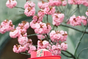 Βασίλισσα Ελισάβετ | Χαμογελαστή στην πρώτη της φωτογραφία μετά τα γενέθλιά της