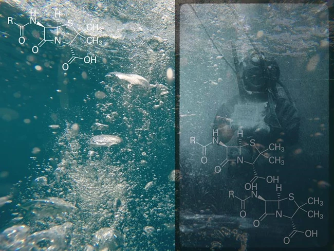 aqua_forensic_Robertina-Sebjanic_Gjino-Sutic