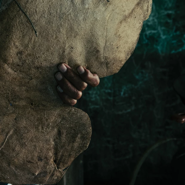 Courtesy of The Blank Wall Gallery