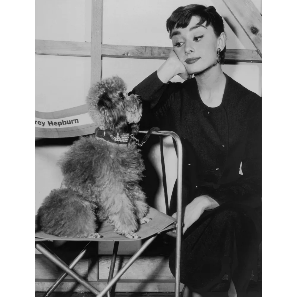 Η Hepburn και το Poodle