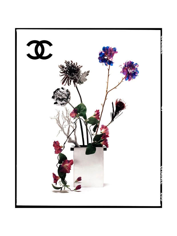 Chanel photograph by david bailey