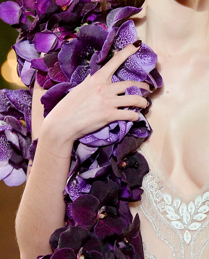Rodarte: Διαχρονικό μπορντό