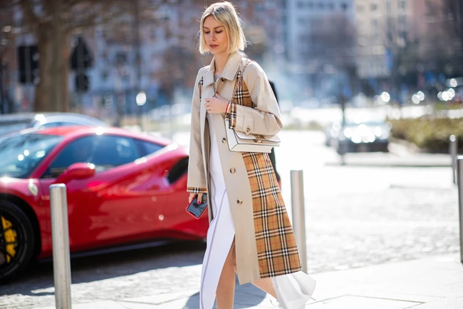 καμπαρντίνα