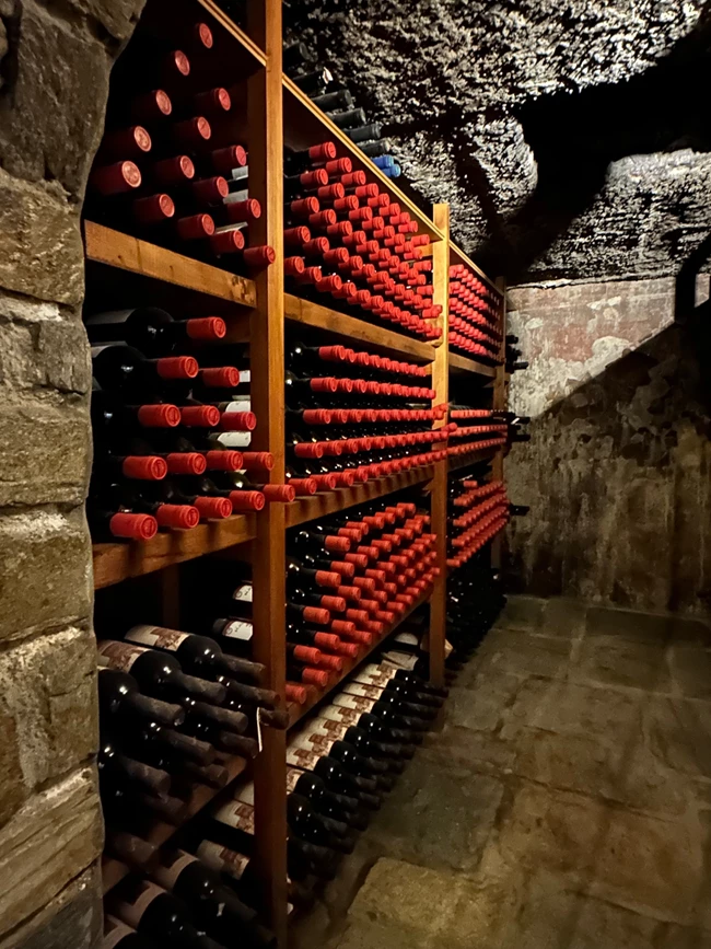 Πάρος Πατεράκη