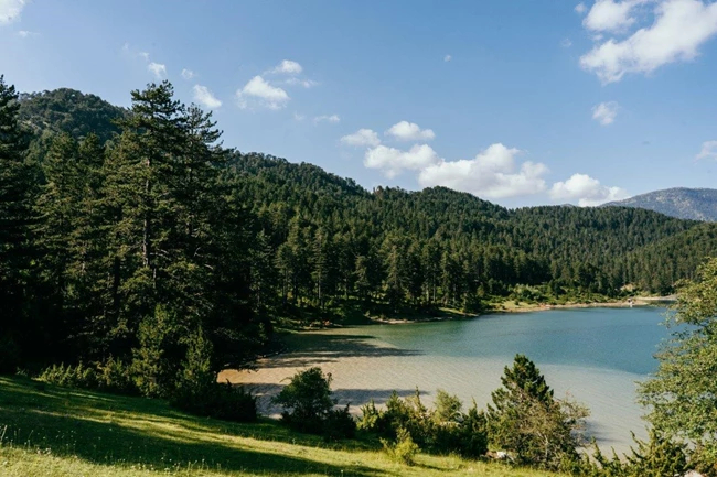 Grand Forest Metsovo