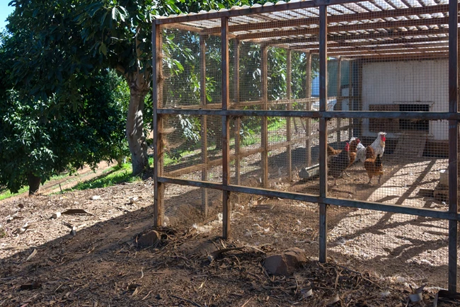 Sandra Bullock σπίτι