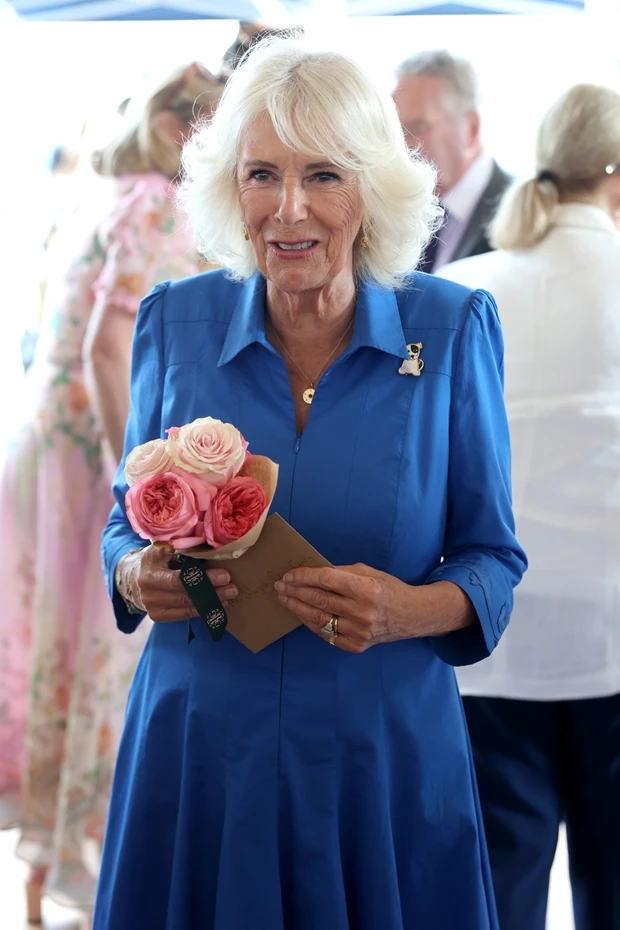 Βασίλισσα Καμίλα | Η καρφίτσα που επέλεξε προσθέτει ιδιαίτερο νόημα στο μπλε φόρεμά της