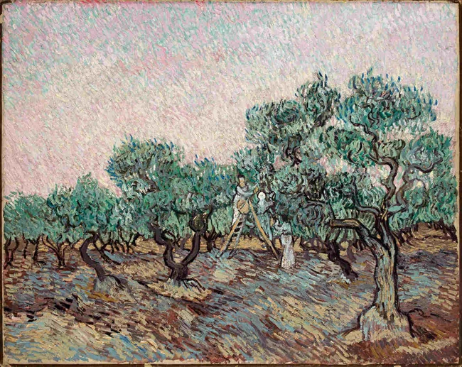 Gogh Vincent van, La Cueillette des Olives