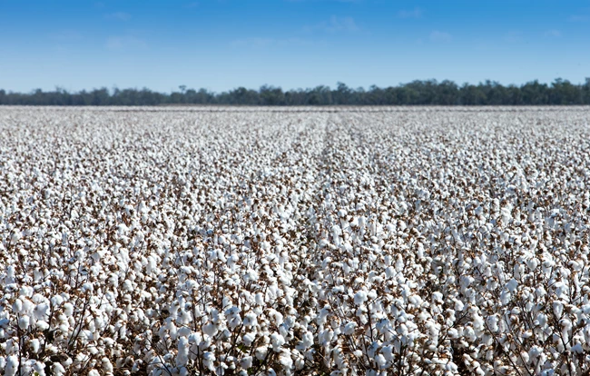 Τι πρέπει να γνωρίζετε για τα υφάσματα που επιλέγετε προκειμένου να χτίσετε μια βιώσιμη γκαρνταρόμπα