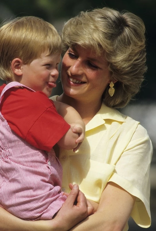 Diana Harry
