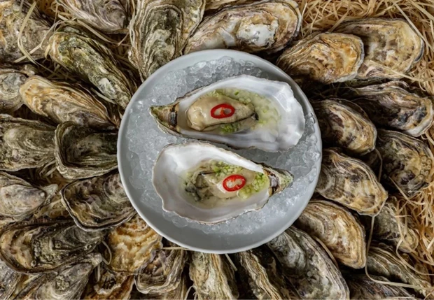 Gallina x Domes Zeen Chania για 2η συνεχόμενη χρονιά