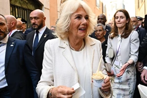 Βασίλισσα Καμίλα | Η ενδυμασία της μπροστά στον Πάπα προκάλεσε συζήτηση