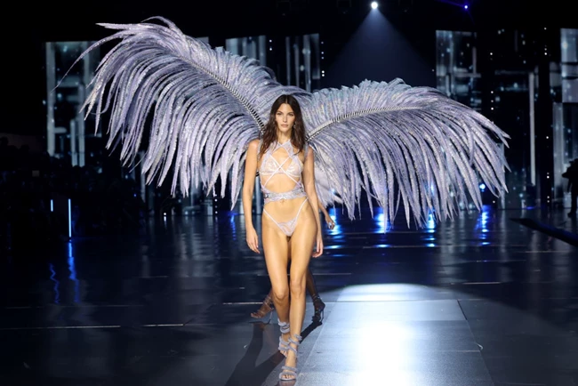 Vittoria Ceretti Victoria's Secret