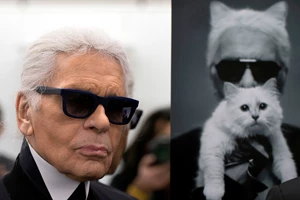 Dog Lovers | Τα αγαπημένα κατοικίδια των celebrities