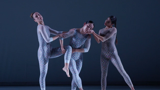 13ο Διεθνές Φεστιβάλ Σύγχρονου Χορού "Dance Days Chania"