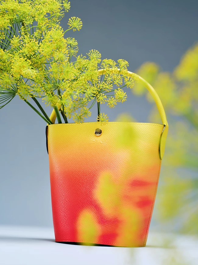 Color Rules - Harpers Bazaar July 2023