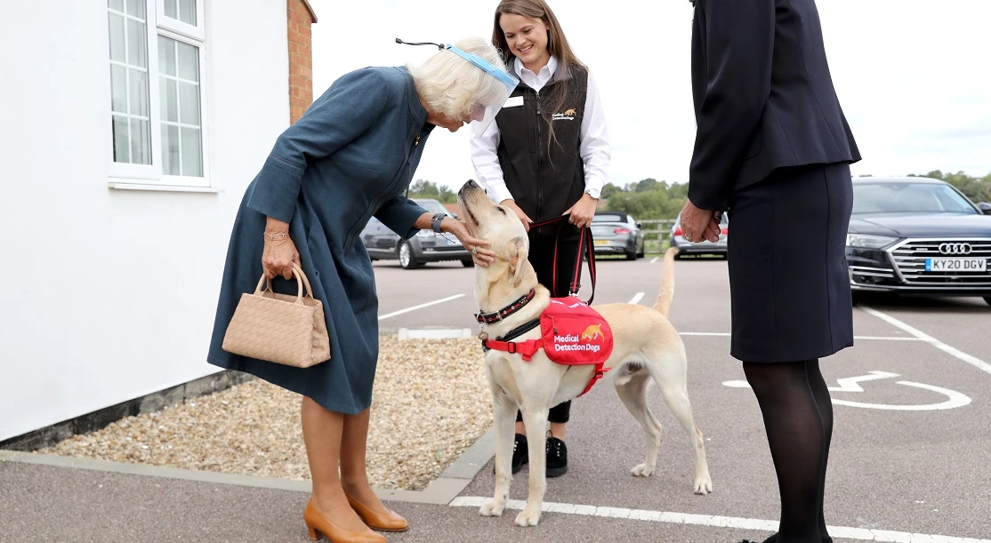 Πρίγκιπας Harry | Έτσι θα γιορτάσει σήμερα τα 36α γενέθλιά του
