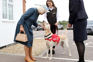 Ο Archie διακόπτει διαρκώς τα Zoom meetings της Meghan Markle