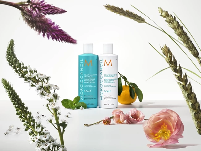 MOROCCANOIL