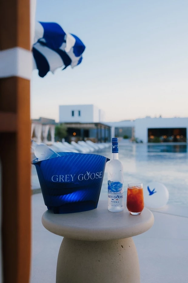 Grey Goose 4