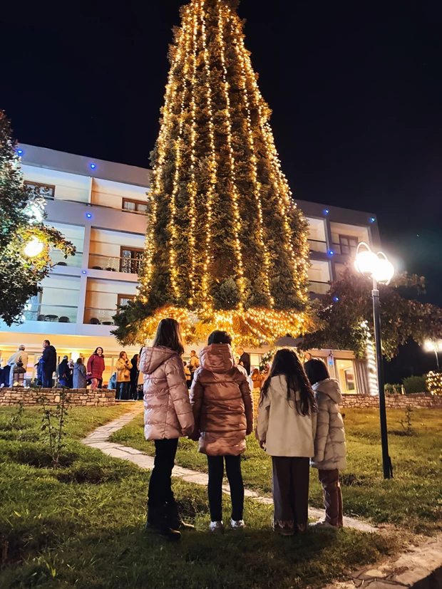 δέντρο μετέωρα
