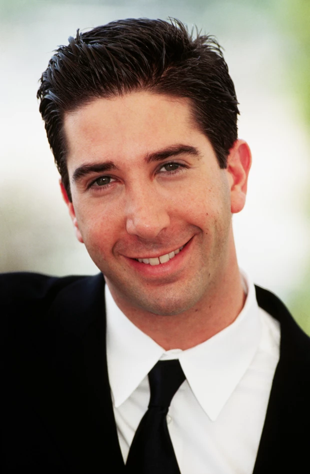 David Schwimmer