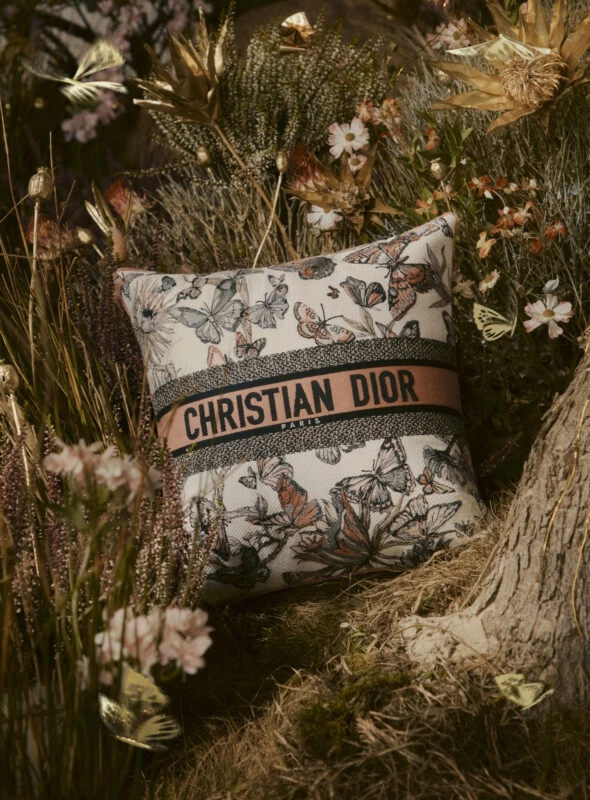 Dior artdelatable Xmas