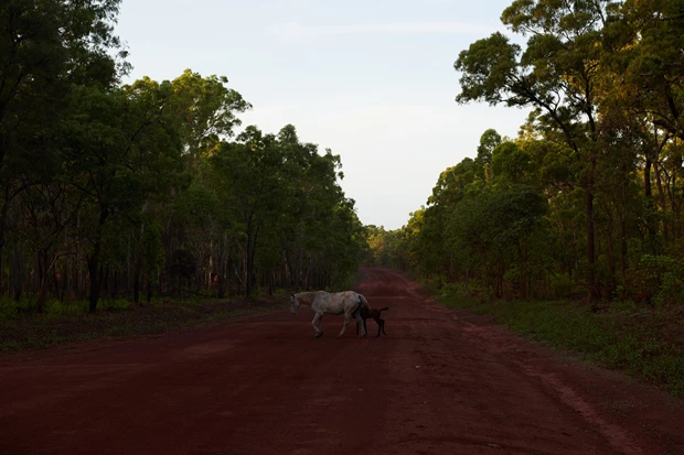 LV Regeneration 2030