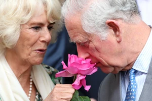 Η Καμίλα θα στεφθεί Βασίλισσα στο πλευρό του Καρόλου – Τα σχέδια για την τελετή στέψης