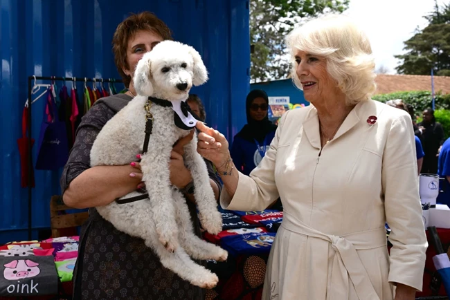 Βασίλισσα Καμίλα