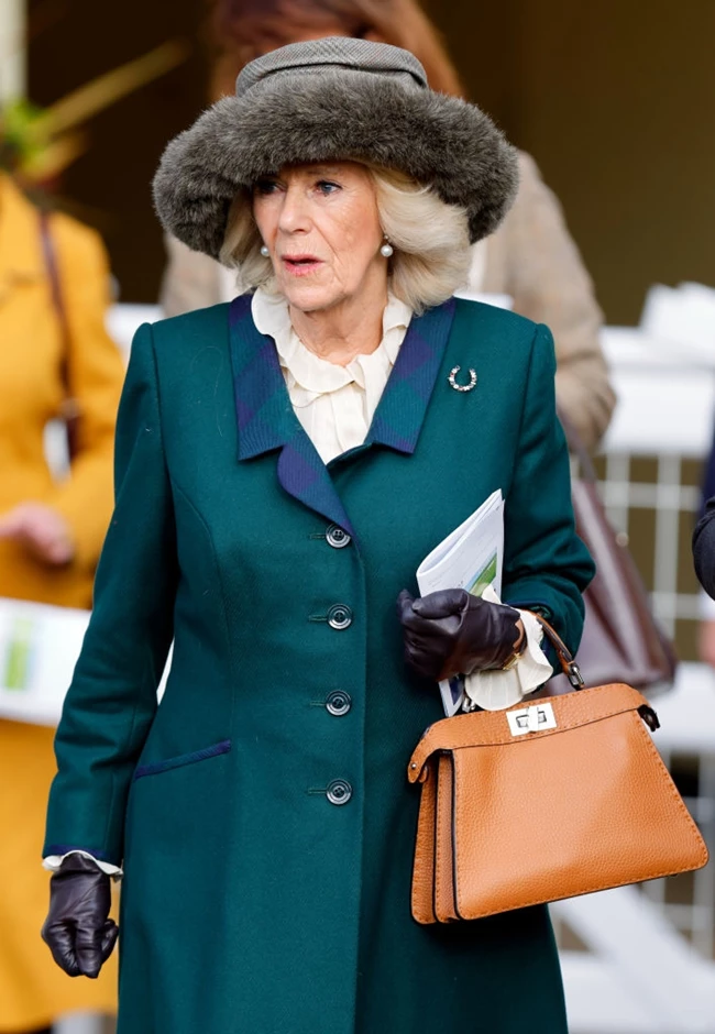 Camilla, Queen Consort