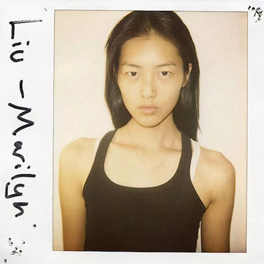 Liu Wen